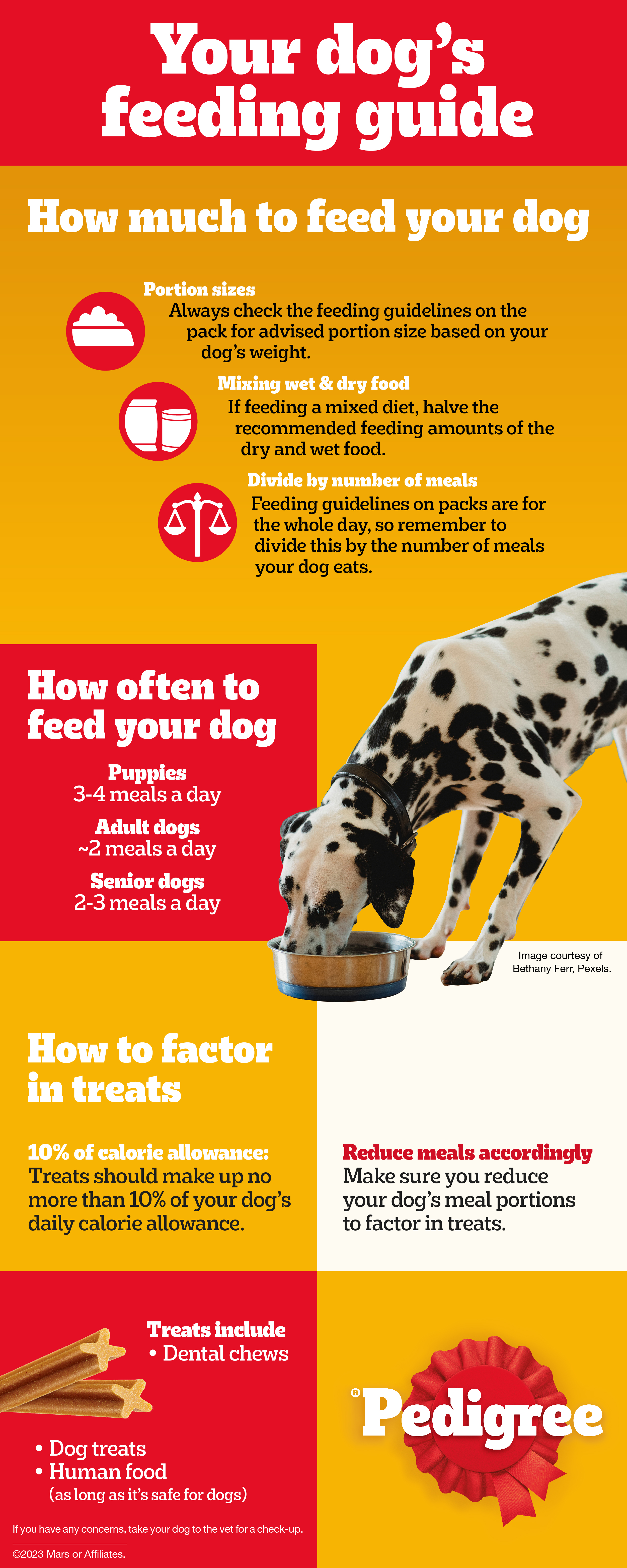 How Heavy Should Your Dog Be?